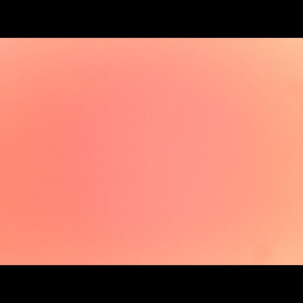 Meet your Posher, Liana